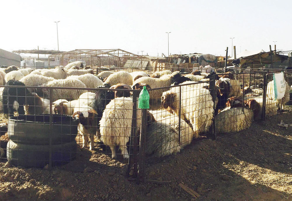 أدى نصب أحواش من الشبك الحديدي وسط السوق إلى ازدحامه.«الاقتصادية»