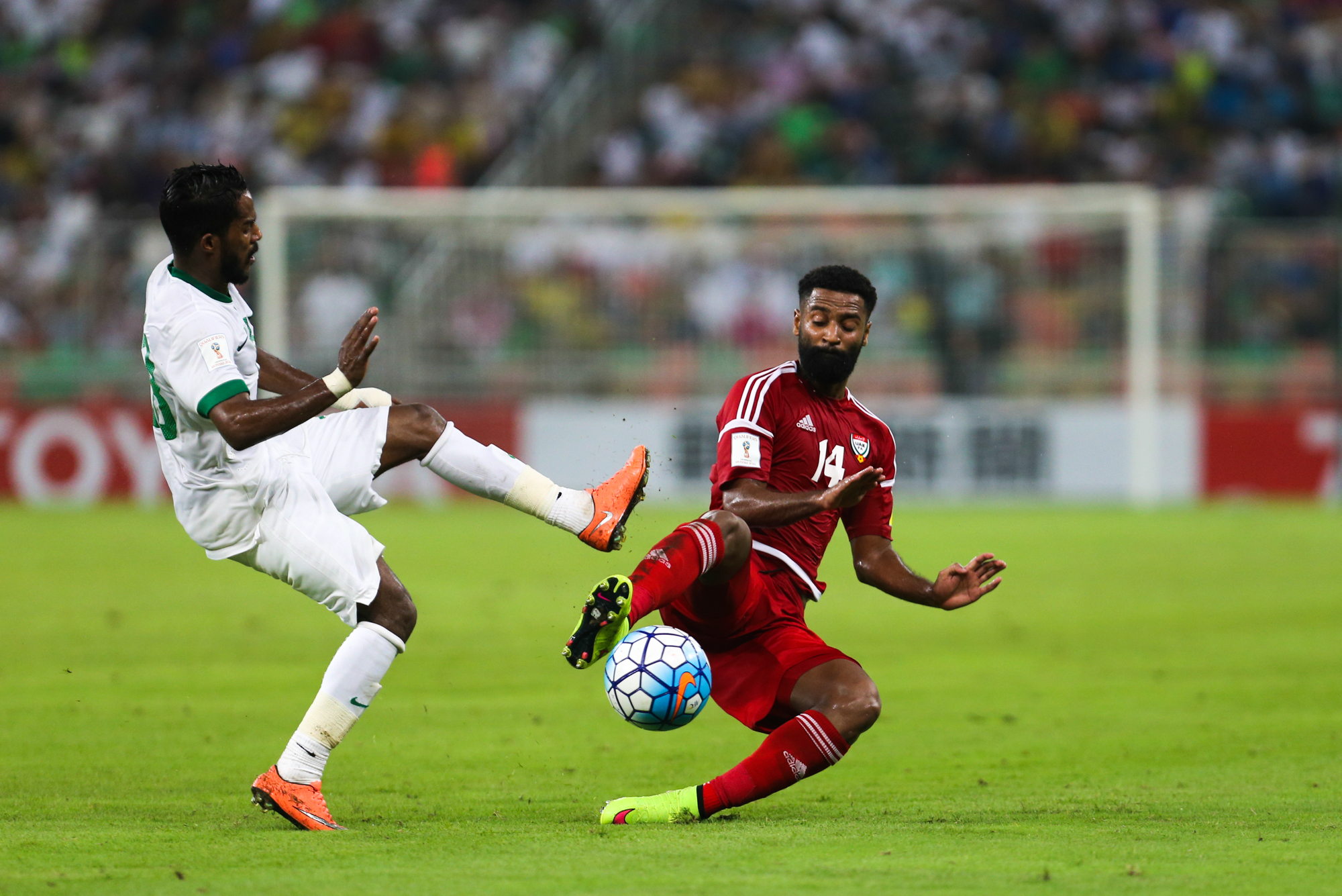 الأخضر.. متصدر لا تكلمني