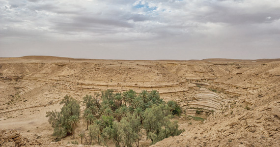 ناقش الاجتماع دمج التنوع الأحيائي في جميع القطاعات ذات العلاقة. "الاقتصادية"