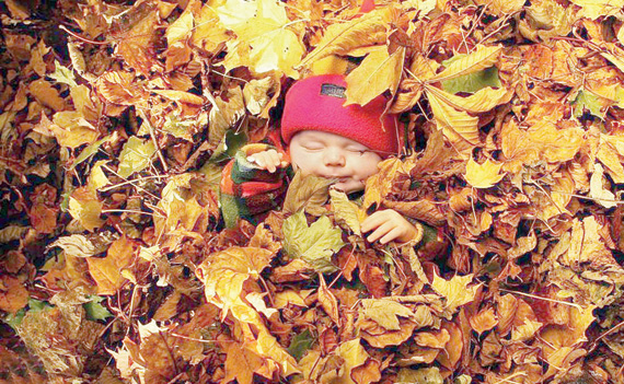 طفل وسط أوارق الشجر المتساقط في أحد المتنزهات.