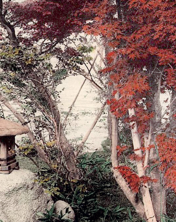 الخريف يمتاز بالإبداع الذي لا يستمر طويلا.