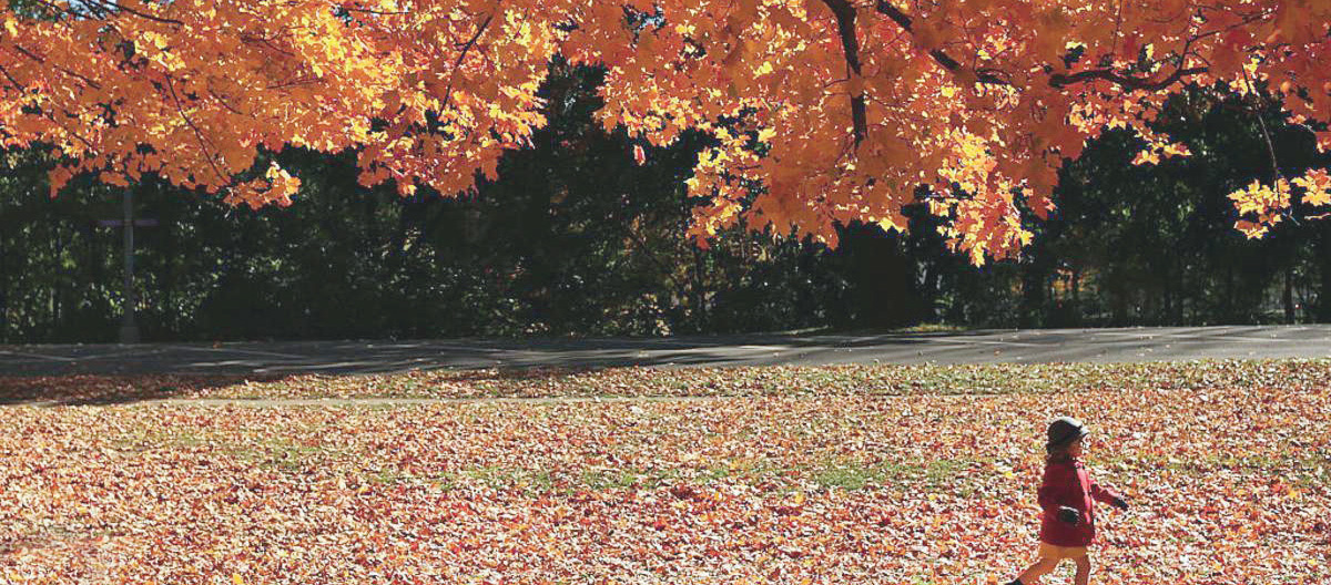 رصدت عدسات المصورين الكثير من اللقطات التي تبرز جمال الطبيعة في فصل الخريف «سكاي نيوز»