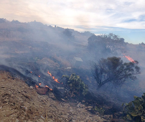 الحريقان اندلعا في مجموعة من الحشائش والأشجار بمكانين منفصلين في المندق. "الاقتصادية"
