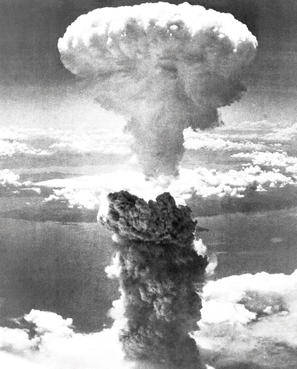 أهم صور التاريخ