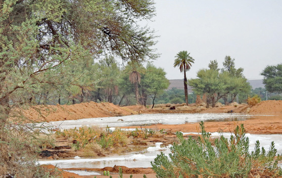 جانب من الأمطار التي هطلت شمال الرياض خلال الأيام الماضية.