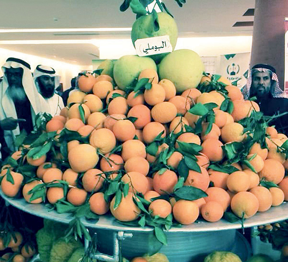 المهرجان نظم من مديرية الزراعة في الخرج بالتعاون مع عدد من الجهات.