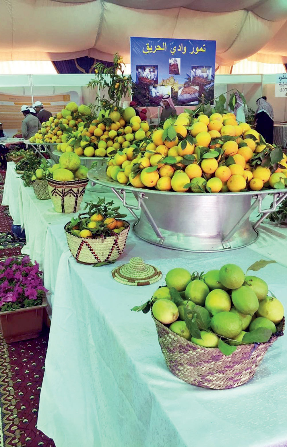 يقدم المهرجان فواكه تنتج خلال فصل الشتاء بجانب التمور التي تميزت بها المحافظة.
