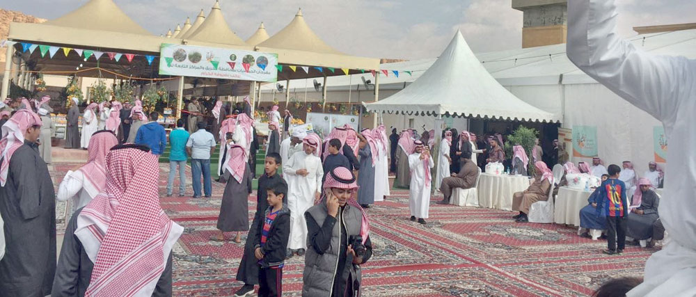 يهدف المهرجان إلى التعريف بالمنتجات الزراعية التي تشتهر بها المحافظة. 