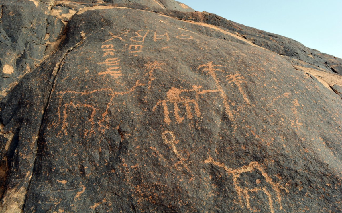 رسومات "جبل سواج" الثمودية الرائعة تبهر زوار رس القصيم