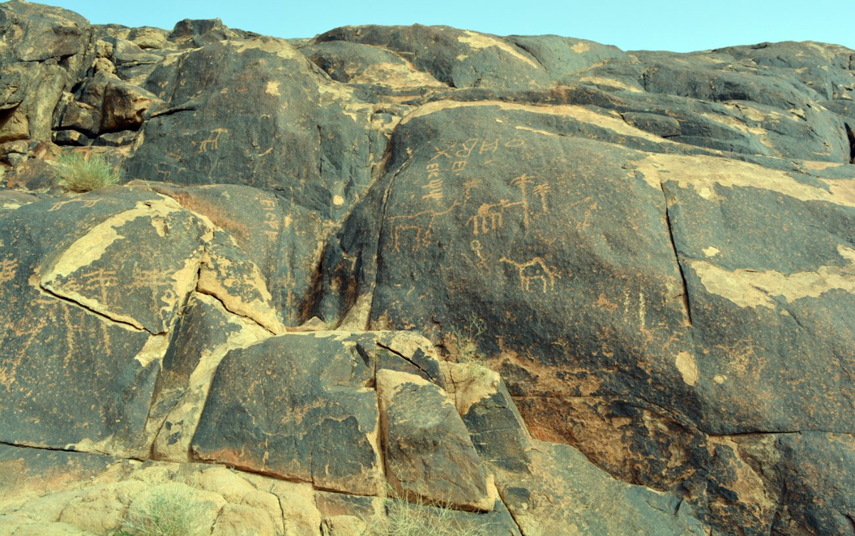 رسومات "جبل سواج" الثمودية الرائعة تبهر زوار رس القصيم