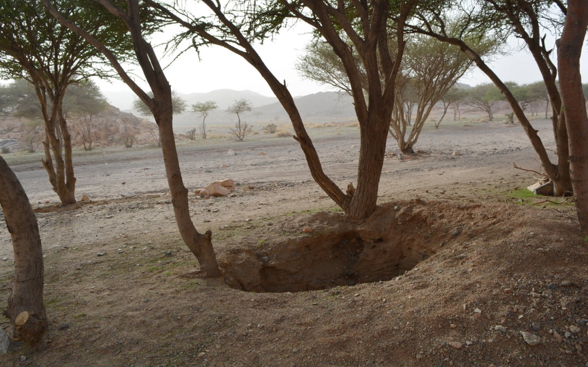 رسومات "جبل سواج" الثمودية الرائعة تبهر زوار رس القصيم
