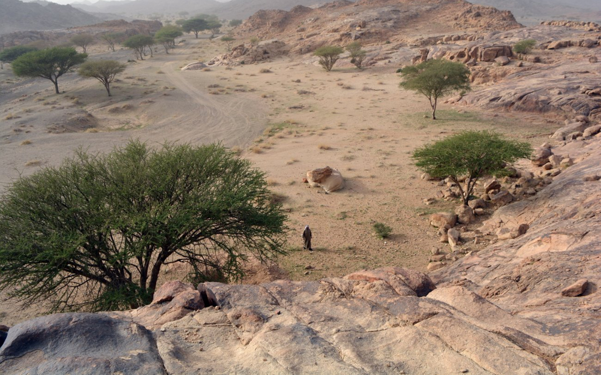 رسومات "جبل سواج" الثمودية الرائعة تبهر زوار رس القصيم