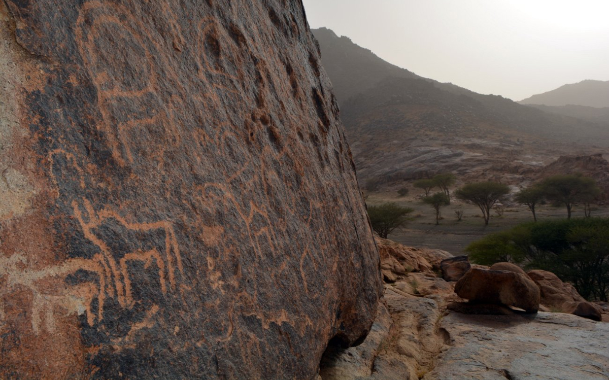 رسومات "جبل سواج" الثمودية الرائعة تبهر زوار رس القصيم