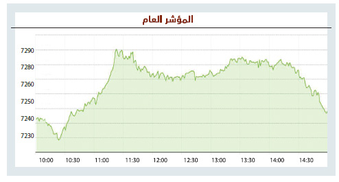 الأسهم السعودية تمحو معظم مكاسبها بضغوط البيع .. والسيولة ترتفع 31 %