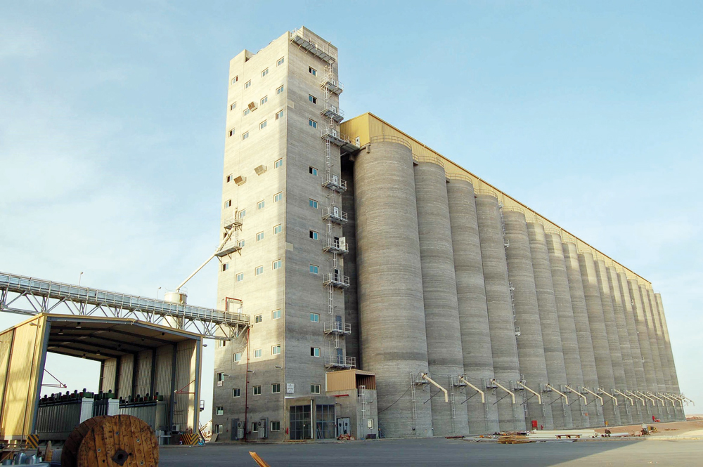 مؤسسة الحبوب ستستكمل إجراءات التحويل للشركات بشكل كامل خلال الشهر الجاري.