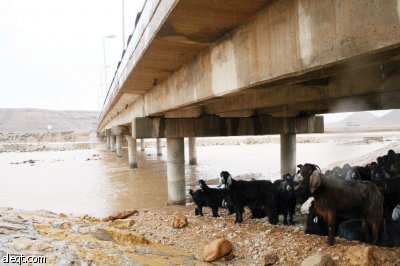 أمطارنا تصب في الخليج العربي .. والسدود الأرضية مطلب