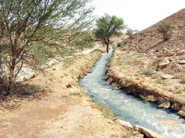 "عين العيينة" الدامعة .. منتجع سياحي "غير رسمي " بمواصفات عالمية