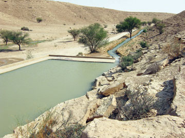"عين العيينة" الدامعة .. منتجع سياحي "غير رسمي " بمواصفات عالمية
