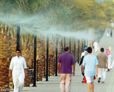 مدير الحدائق سنكافح الزحام والتلوث البيئي بـ الرقعة الخضراء صحيفة الاقتصادية