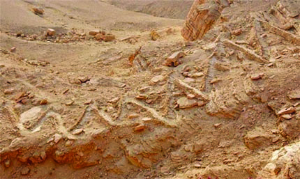 درب " أبا القد" .. مدخل الرياض الرئيسي في طي النسيان