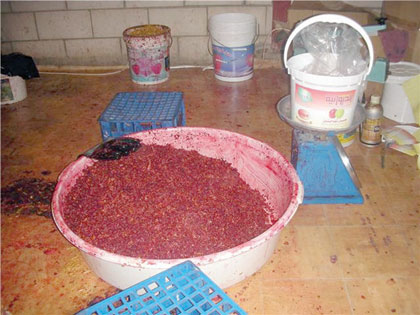 كشف مصنعين لـ "المعسل" يستخدمان ألواناً ونكهات ممنوعة دولياً