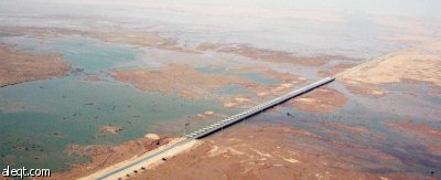 الأرصاد: توقعات أندروا بفيضانات في المملكة "كلام فاضي"