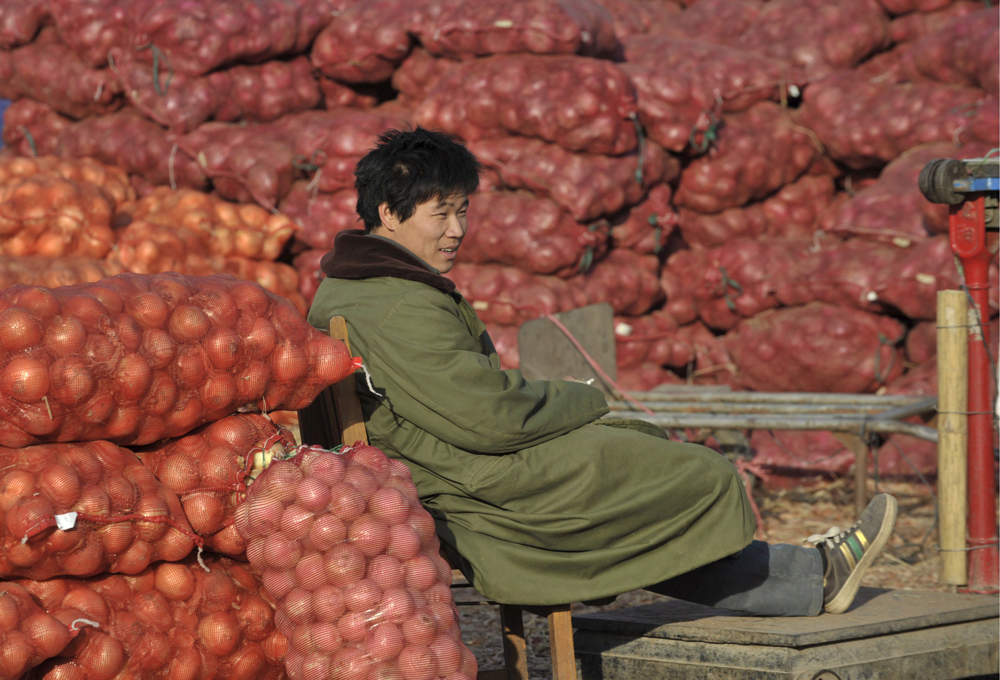 بائع بصل ينتظر الزبائن في سوق الجملة الزراعية في شنيانغ شمال شرق الصين وتبدو خلفه كميات كبيرة من أكياس البصل التي يبدو أنها لم ت