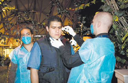 حكومات العالم تتخوف من تنامي فوبيا إنفلونزا الخنازير و انتشارها