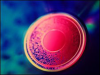 قرص جديد يسع لـ500 غيغابايت