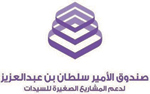 "صندوق الأمير سلطان" يستضيف الأميرة صيتة بنت عبد الله في  حفله السنوي الأول