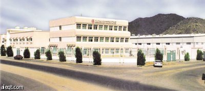 "دهانات روز" 30 عاما من الخبرة.. ومنتجاتها تطول 20 دولة حول العالم