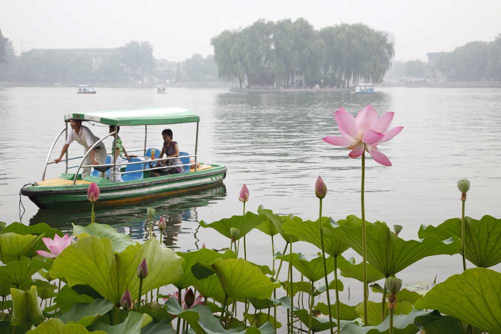 تعد بحيرة زهور اللوتس رمزا للثقافة الصينية حيث كانت منذ العصور القديمة رمزا للنقاء والجوهر الروحي