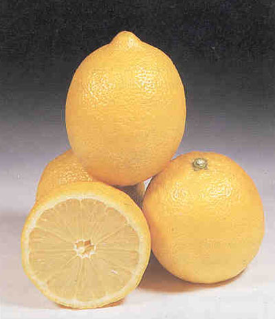 طبيب مصري: كوب من الليمون محلى بعسل النحل يقي من أنفلونزا الخنازير