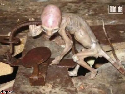 تلفزيون المكسيك يزعم اكتشاف طفل من كوكب آخر في مزرعة