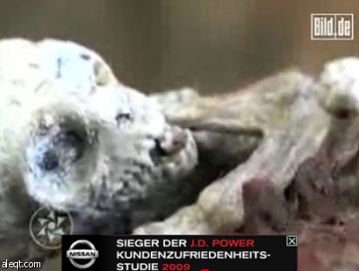 تلفزيون المكسيك يزعم اكتشاف طفل من كوكب آخر في مزرعة