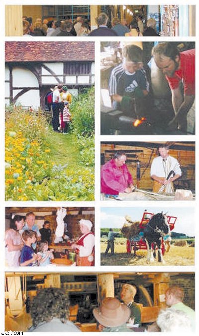 استراتيجيات السلوك الموجودة في النشاط العملي