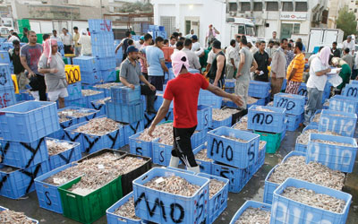 مهنة صيد السمك..تغرق.. تغرق.. تغرق