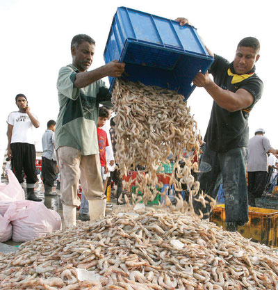 مهنة صيد السمك..تغرق.. تغرق.. تغرق
