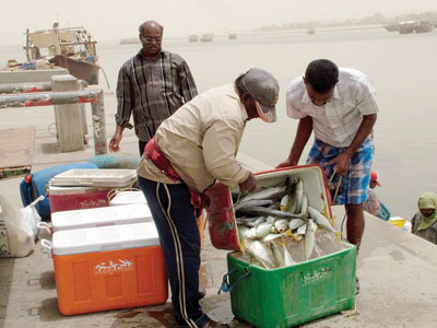 مهنة صيد السمك..تغرق.. تغرق.. تغرق