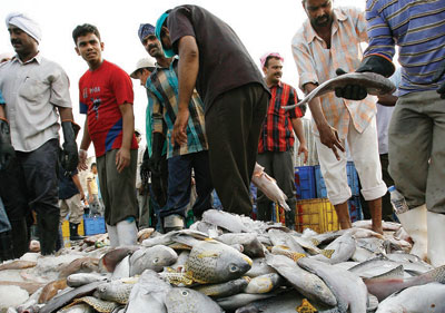 مهنة صيد السمك..تغرق.. تغرق.. تغرق