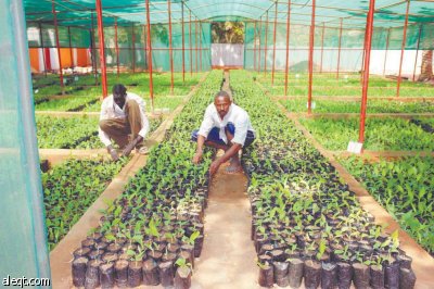 «مبادرة الملك» خطوة استراتيجية لمعالجة الفجوة الاستثمارية في القطاع الزراعي