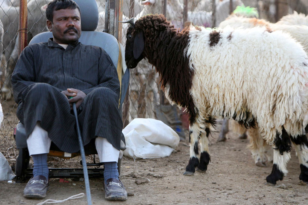 بائع في انتظار زبائن في سوق للأغنام في مدينة الكويت قبل عيد الأضحى المبارك