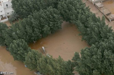 خادم الحرمين يوجه بتقديم مساعدات للمتضررين من الأمطار في جدة.. وارتفاع الوفيات إلى 83