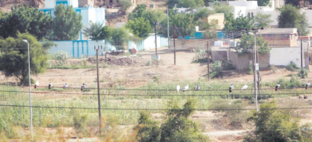 القوات السعودية المسلحة تطرد المتسللين من قرية الغاوية