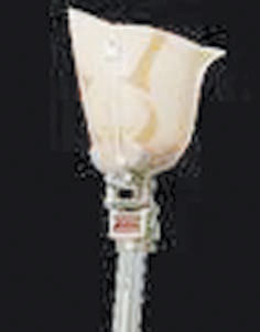 «الإيوان الطبية».. 17 عاما من التميز في خدمة القطاع الطبي