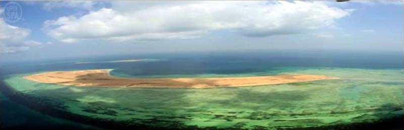 جزيرة أمنة في جازان جمال يجذب الأهالي وفرصة استثمارية متاحة أمام المستثمرين