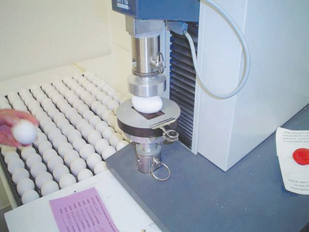 محمد بن فهد خلق بيئة اقتصادية متنوعة في المنطقة الشرقية