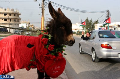 هم يختزلون الحب في يوم  فالنتين Valentine Day..ونحن لدينا الحب كل يوم