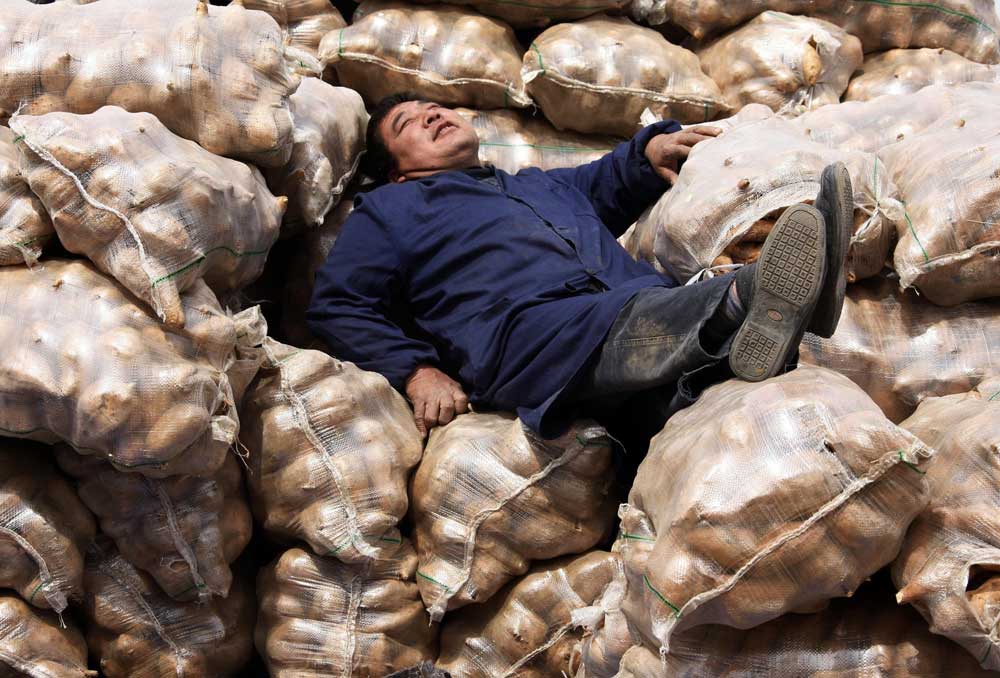 بائع ينام على أكياس الخضار في سوق للجملة  في وسط الصين