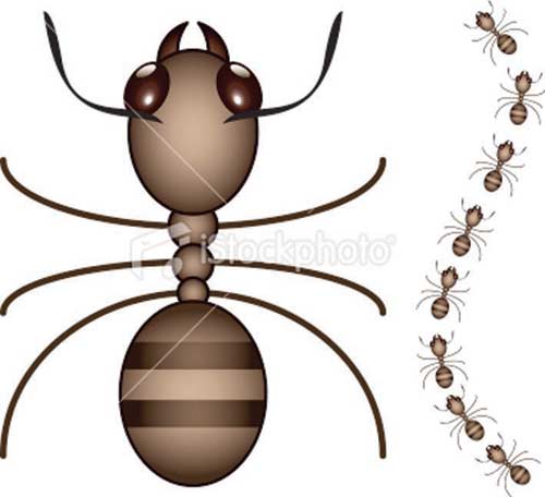 الجراد والنمل .. حكاية خرافية من زماننا